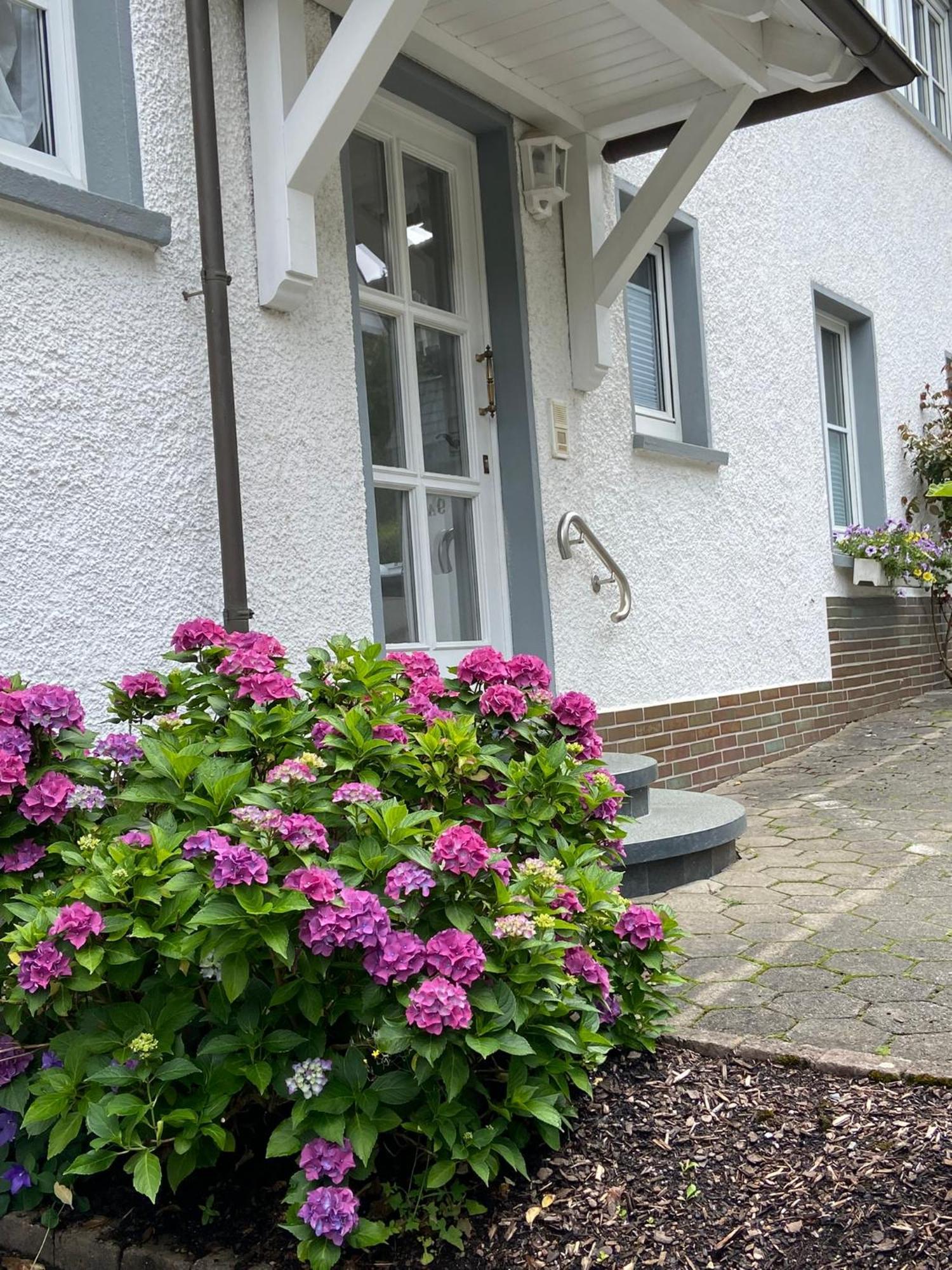 Pension / Ferienwohnung Allebrodt Леннештадт Экстерьер фото